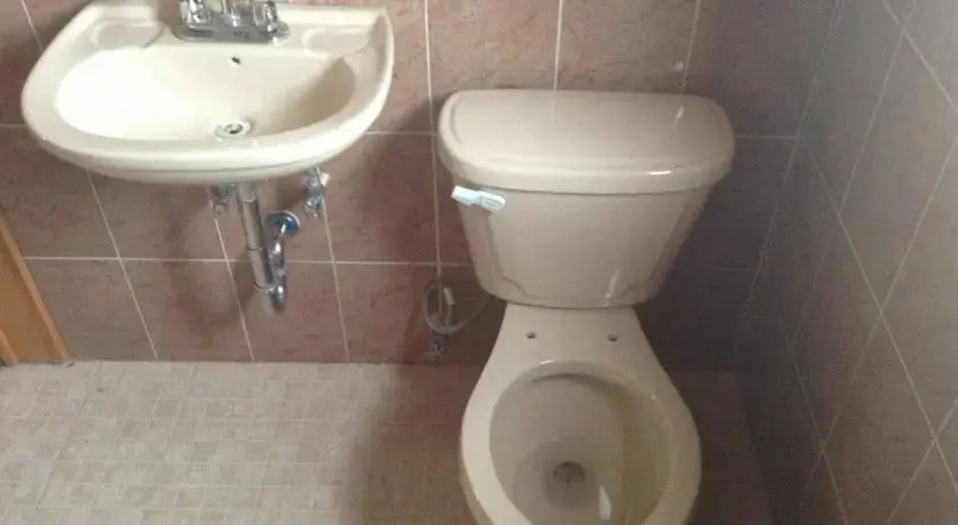 Cabañas las Palmeras