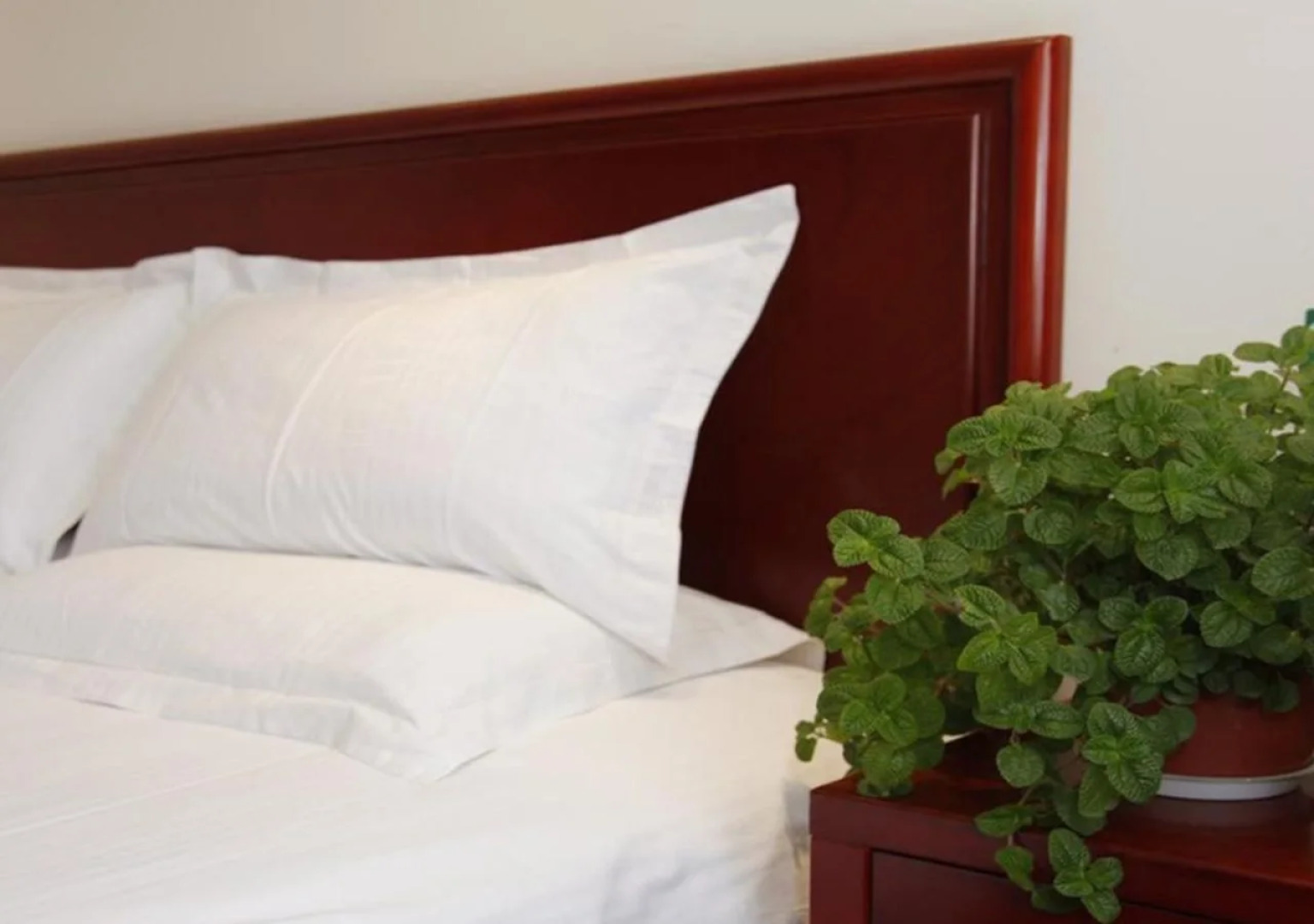 Greentree Inn Hubei Xiaogan Dawu County Changzheng