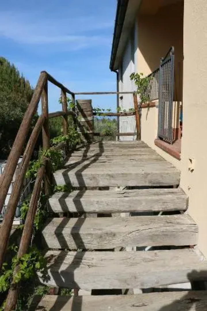 B&B Il Vigneto