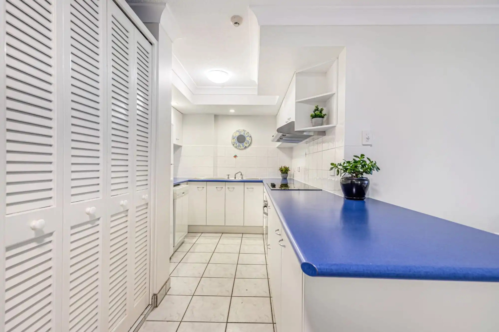 Elouera Tower Beachfront Apartments