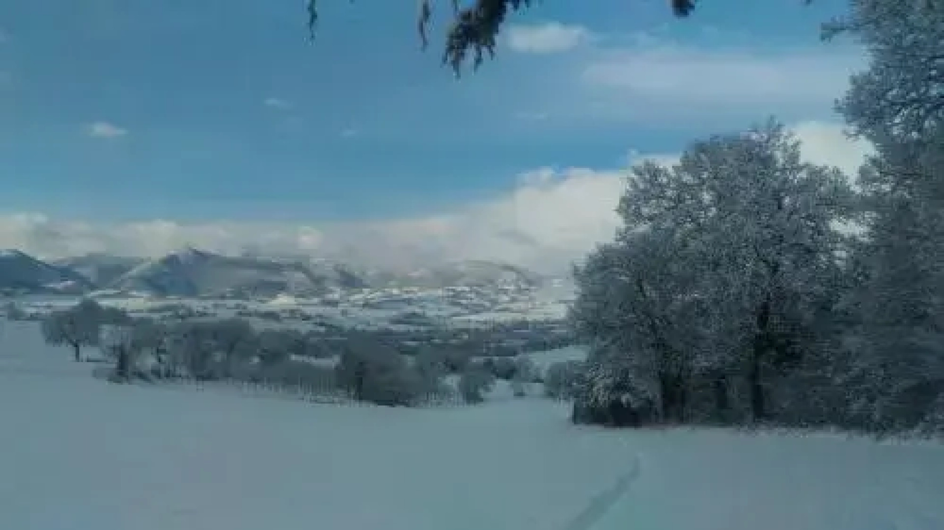 Anthoria B&B-Monolocale