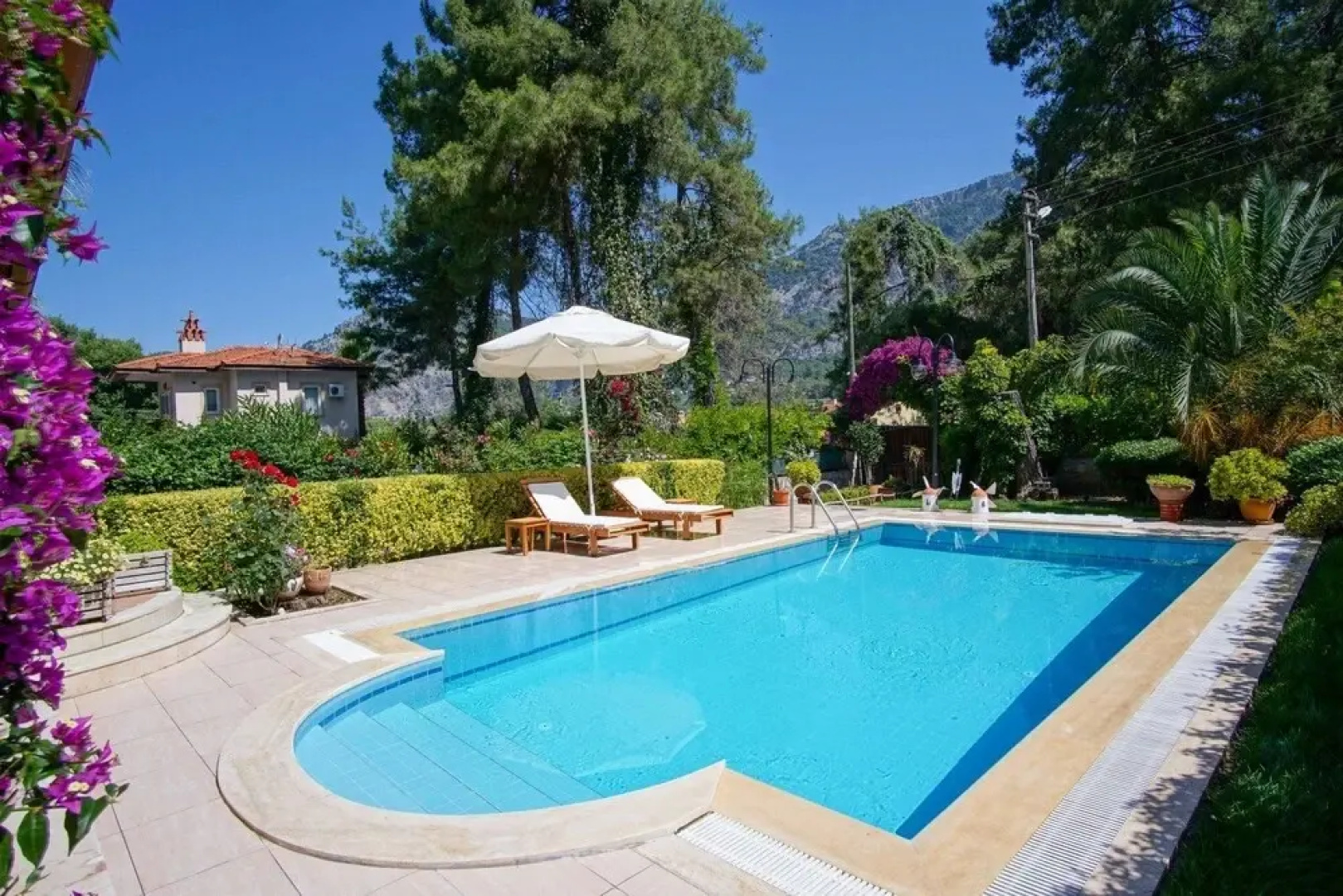 Villa Dolphin