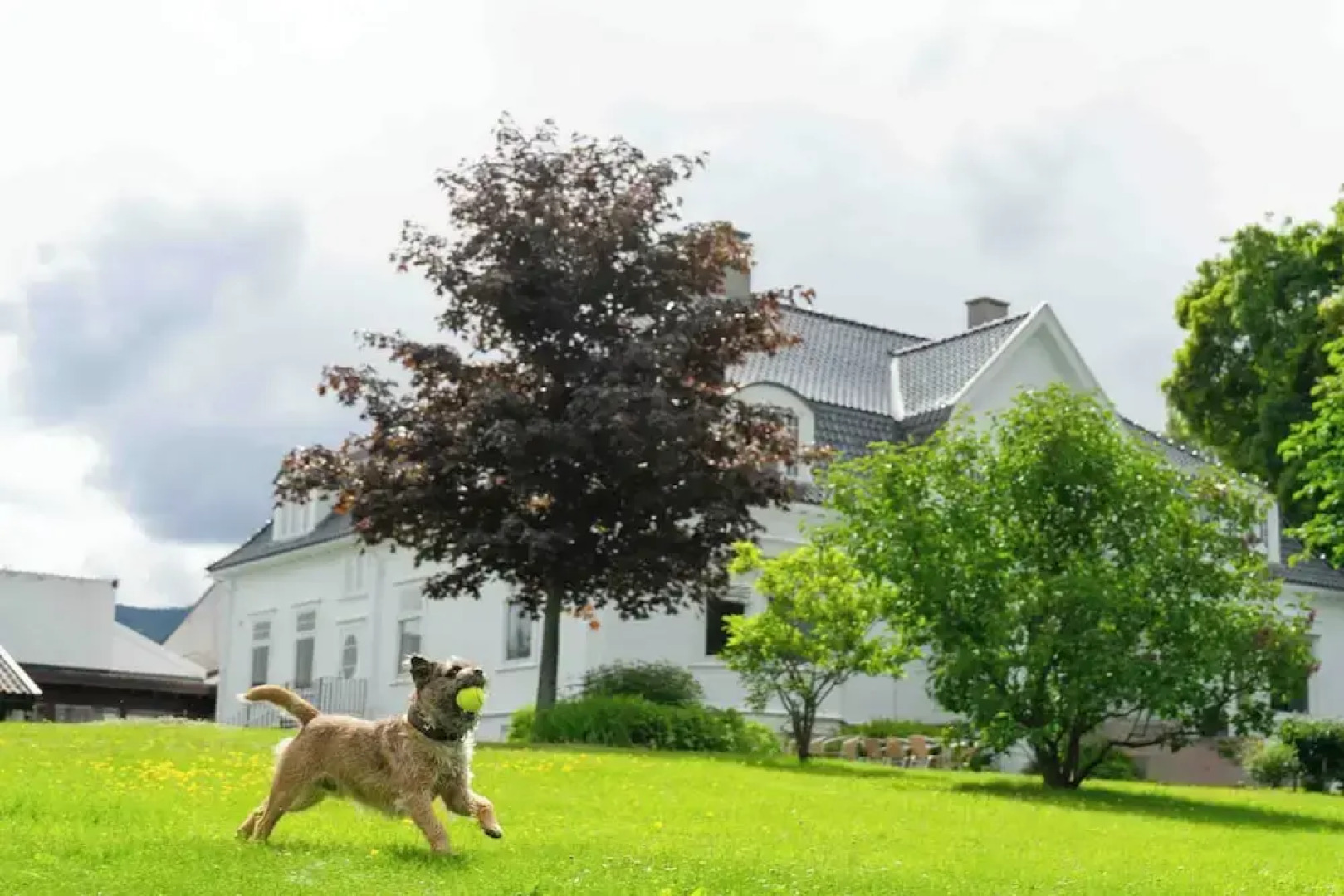 Thorbjørnrud Hotell