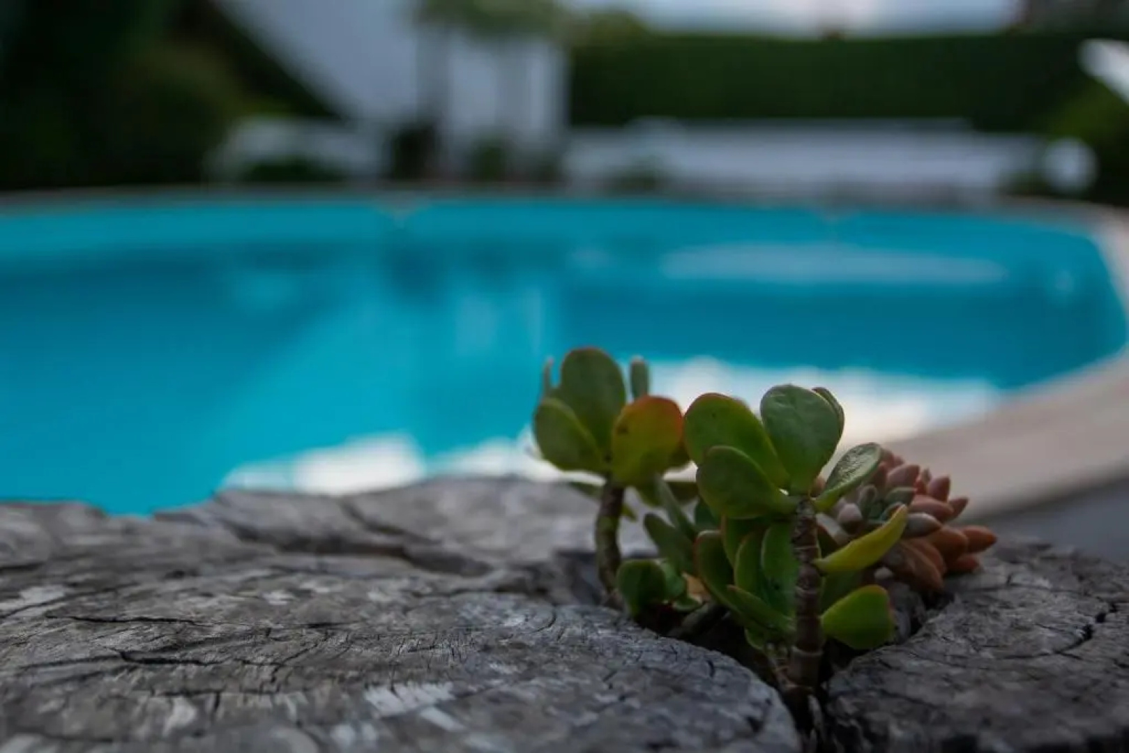 Quinta Minuvida Orchard Lodge