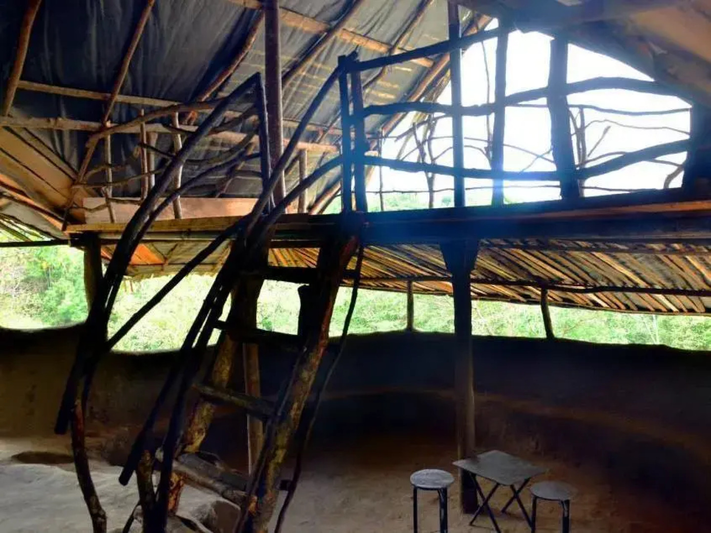 Knuckles Forest Lodge