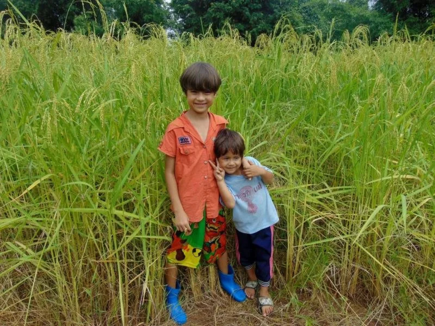 Siam Garden Bungalows