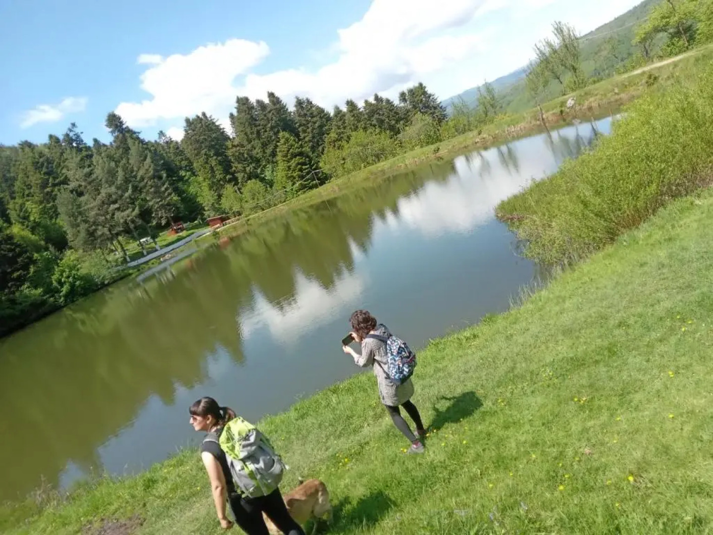 Room in Guest room - Cozy Sejour Near Forest for 2 people