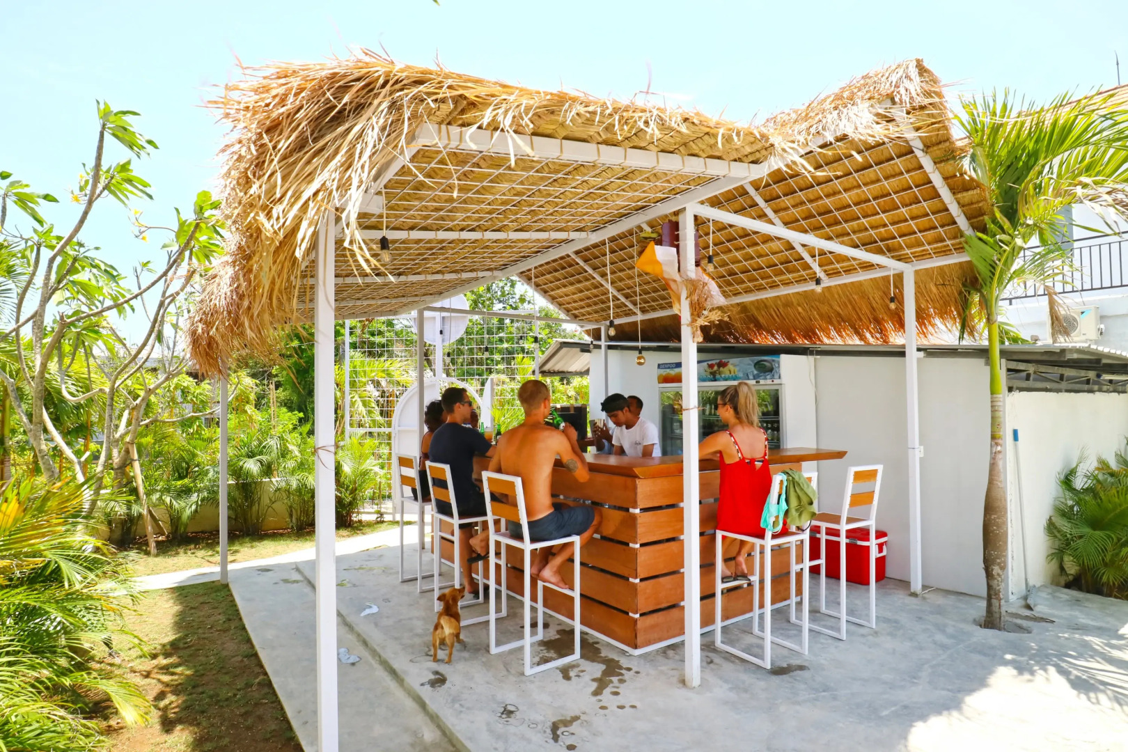 Margarita Surf Hostel Canggu