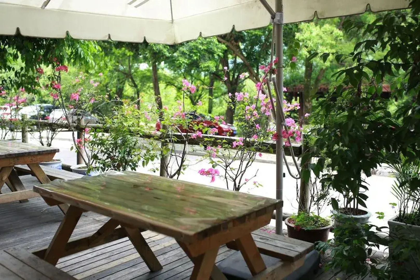 Wuyishan Ancient Street No.3 Tea Inn