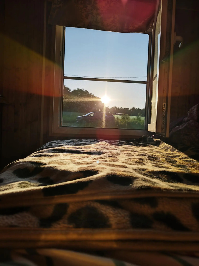 Парк Южного Периода