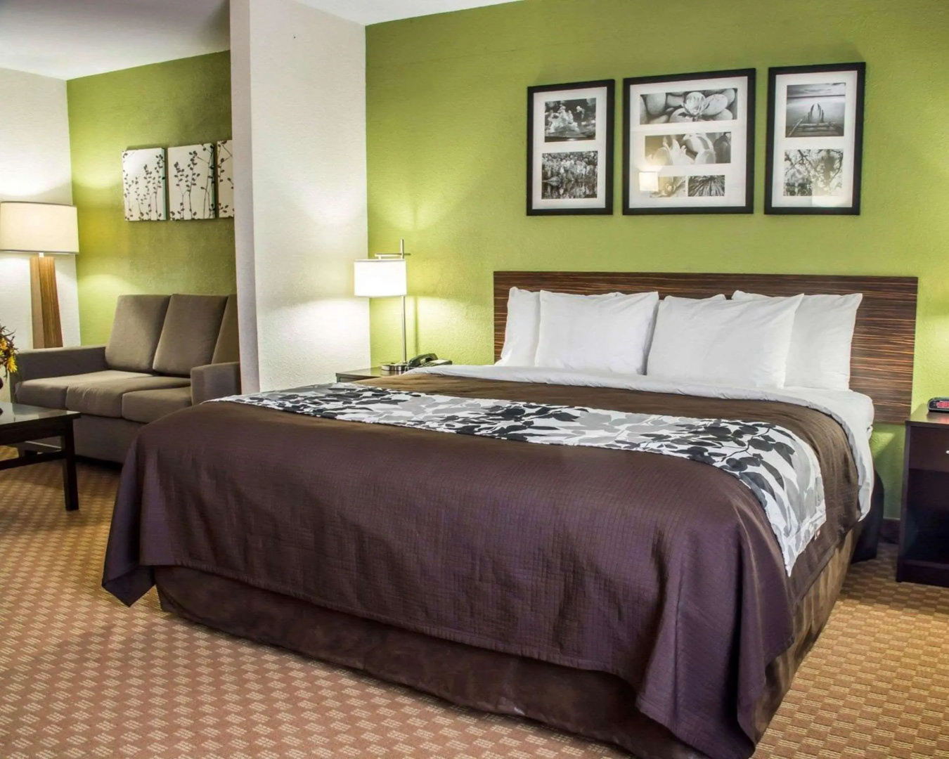 Sleep Inn & Suites Cullman I-65 exit 310