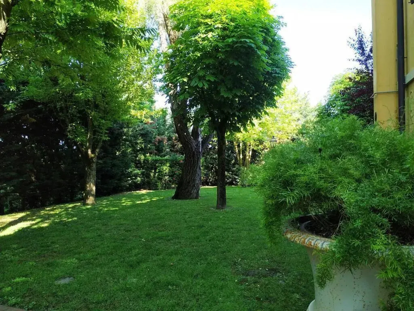 B&B Villa delle Palme