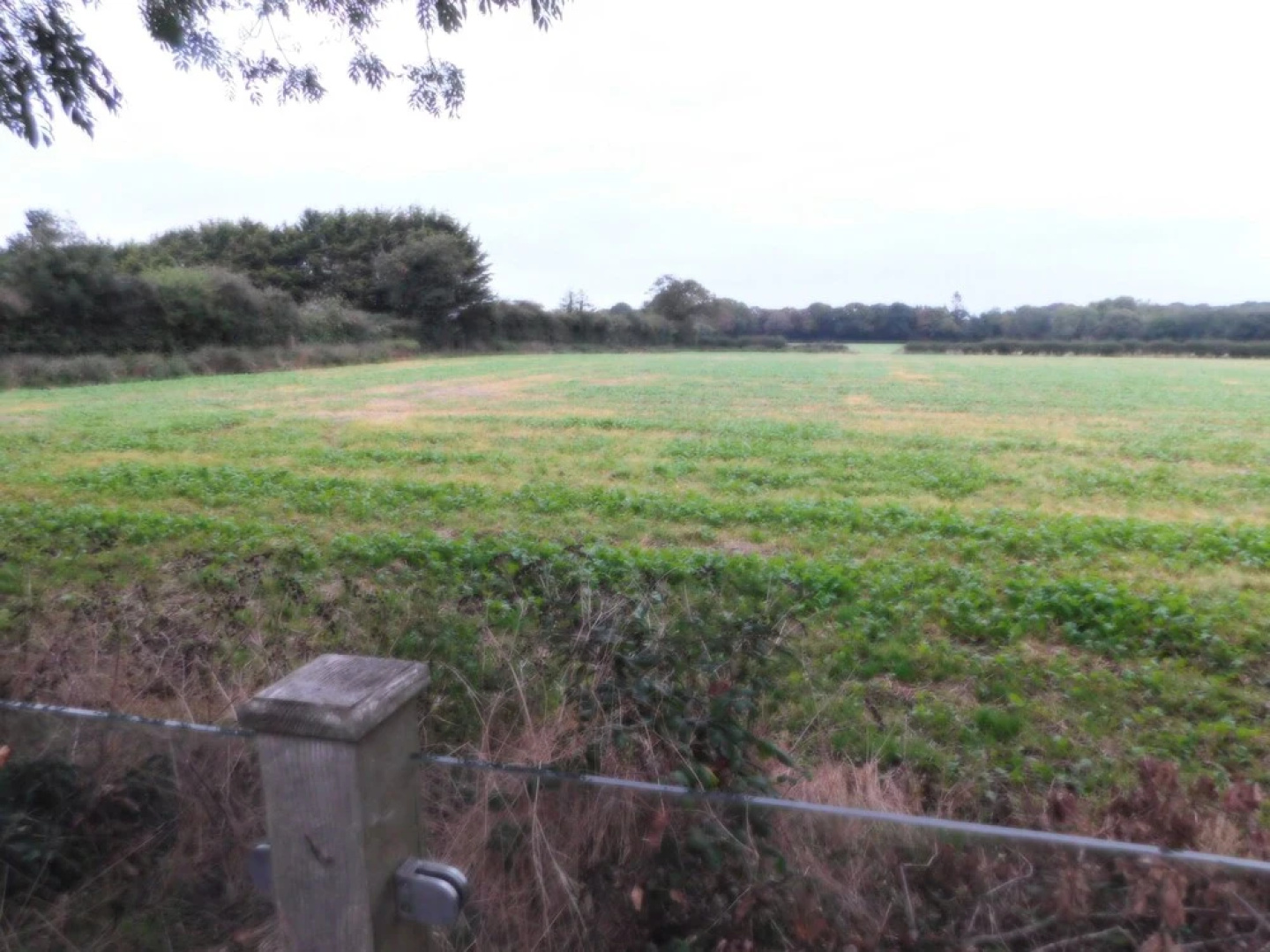 Inviting 3-bed Lodge in Norfolk