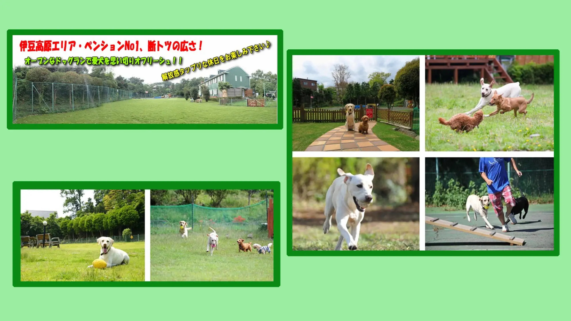 Izu Dog Pension Kotobuki Base