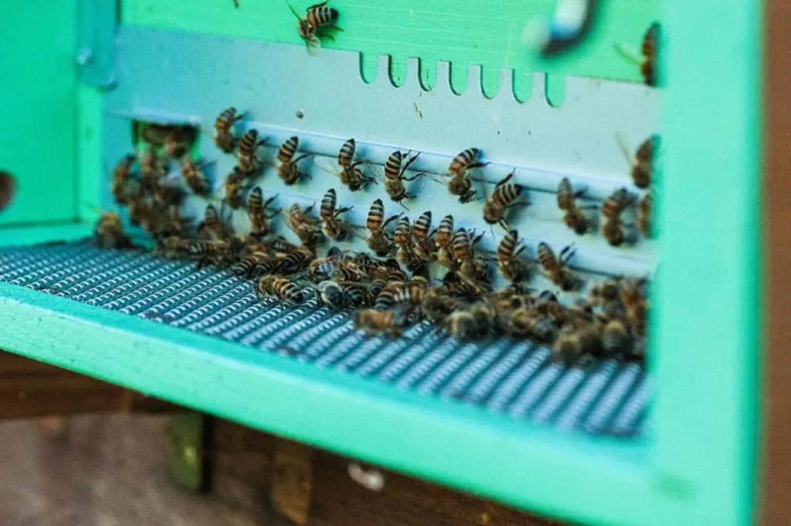 Agriturismo Colle Donatucci