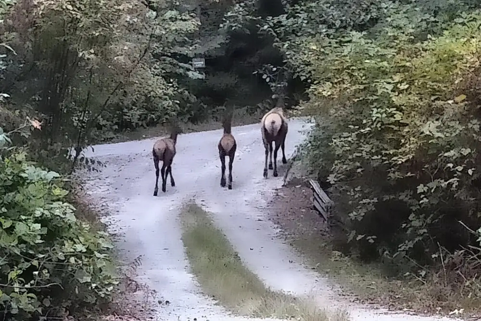 The Cabin at Moon Dance