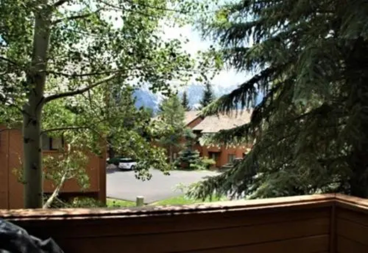 Bright & Beautiful Snowflower Suite - Listing #380