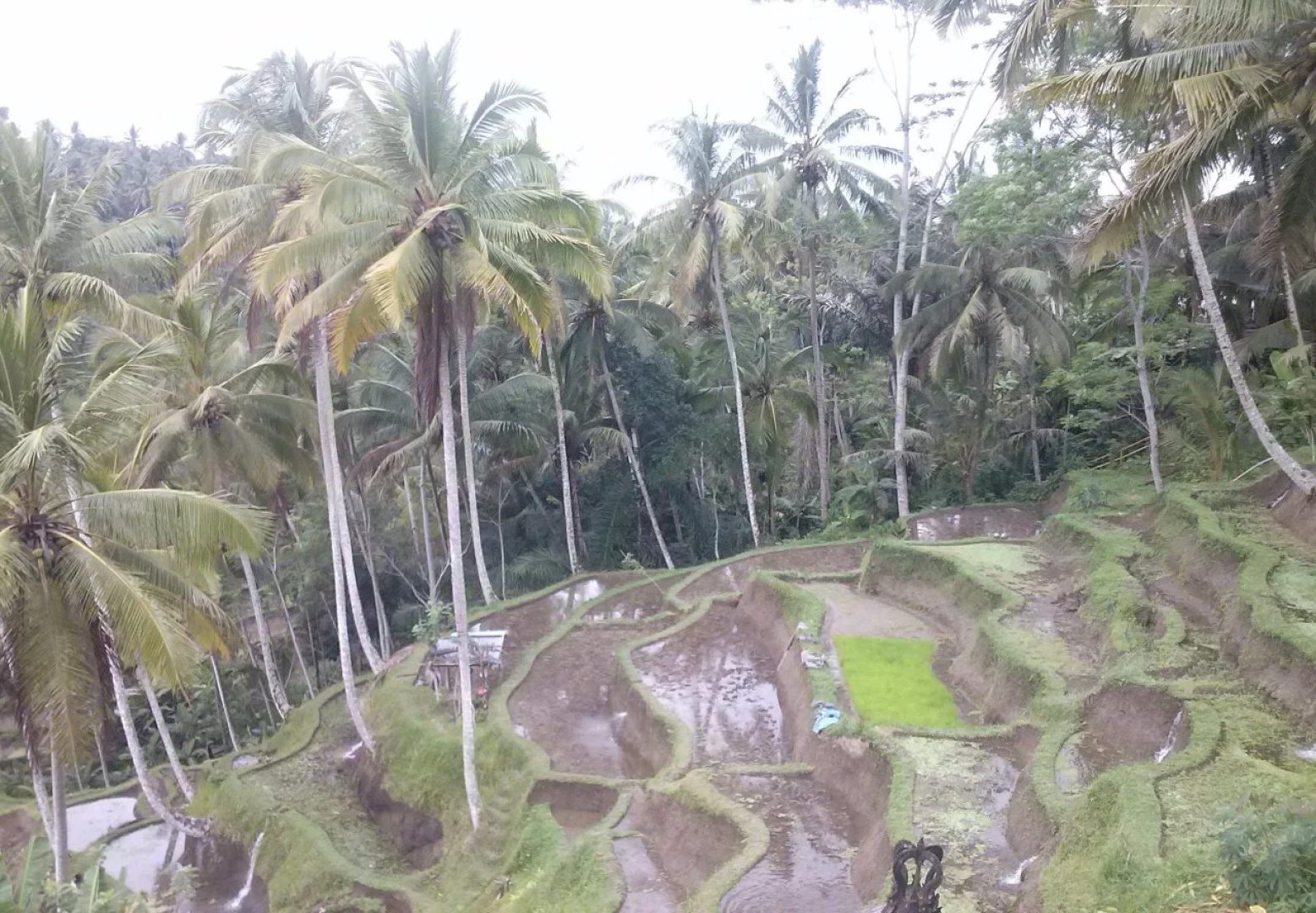 Maha Neka Villa