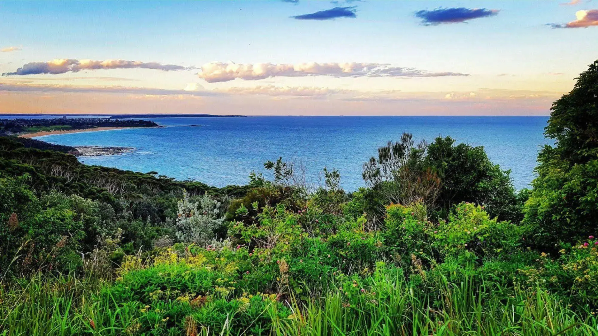 Shelly Beach Holiday Park