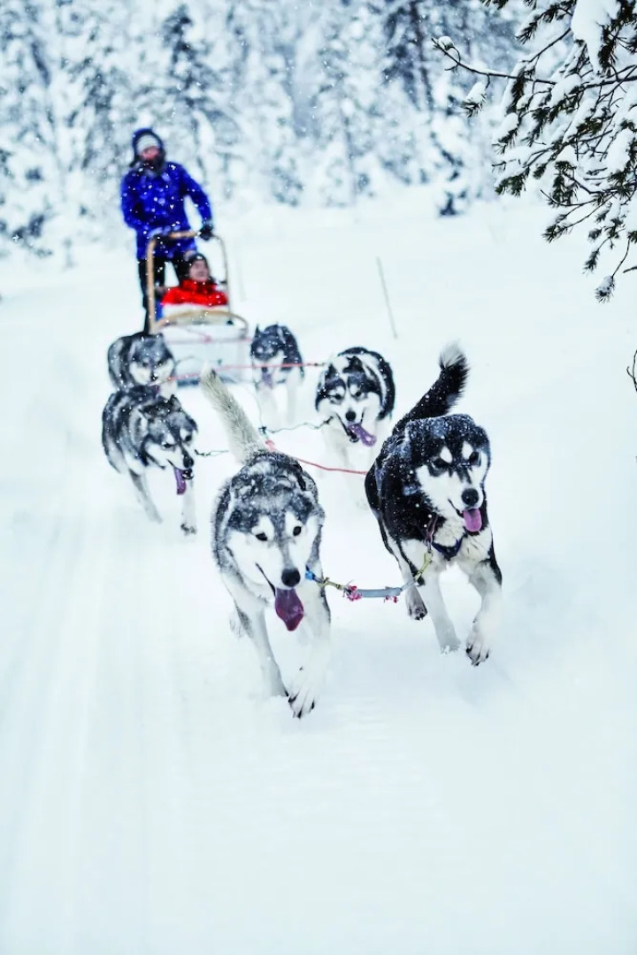 Holiday Club Ruka apartments & cottages