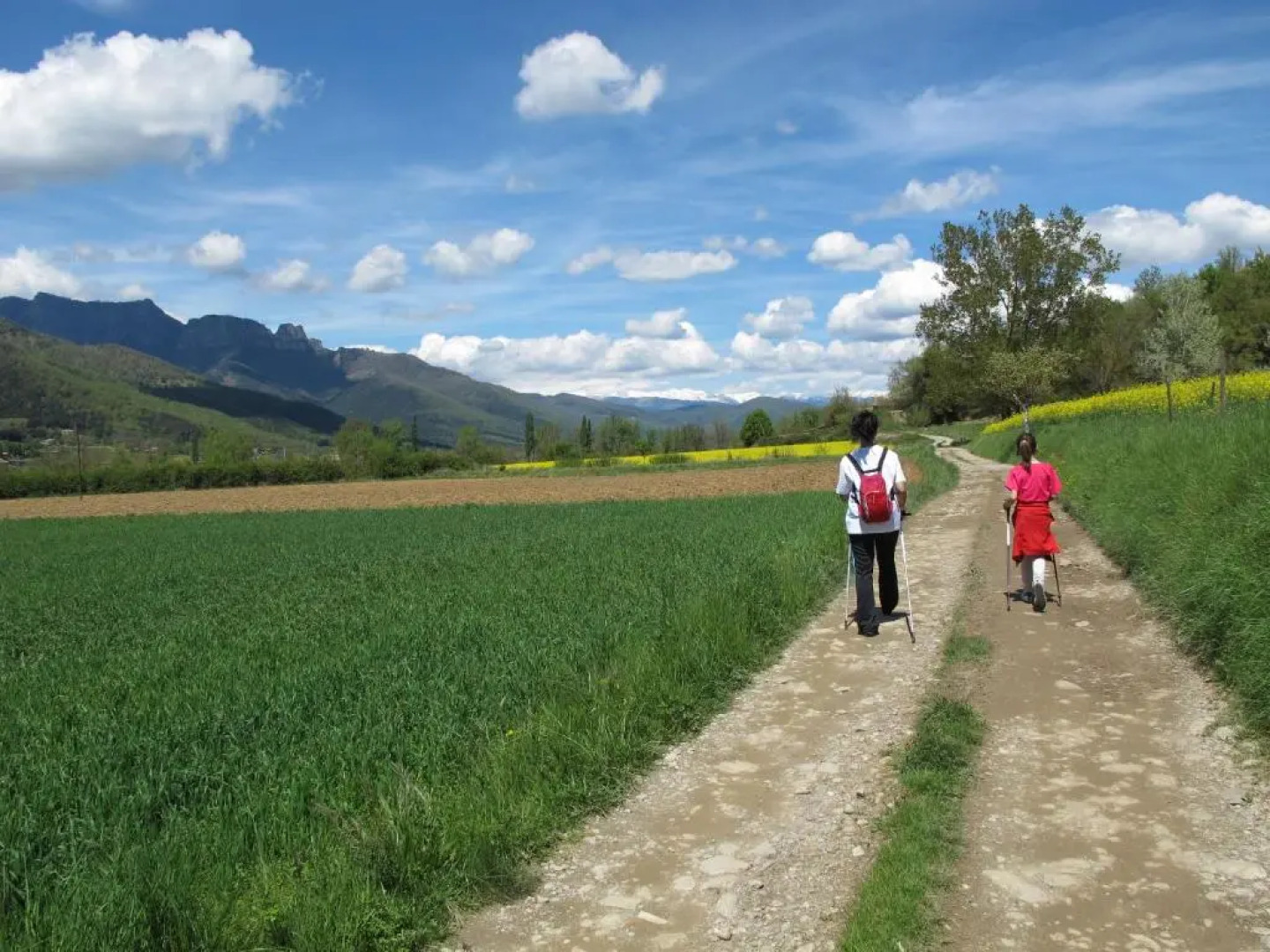 Apartament Sant Francesc