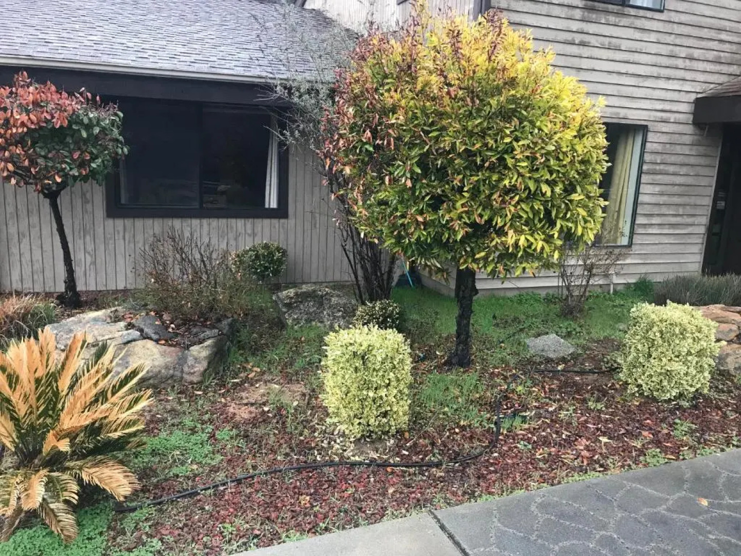 Mountain Trail Lodge & Vacation Rentals