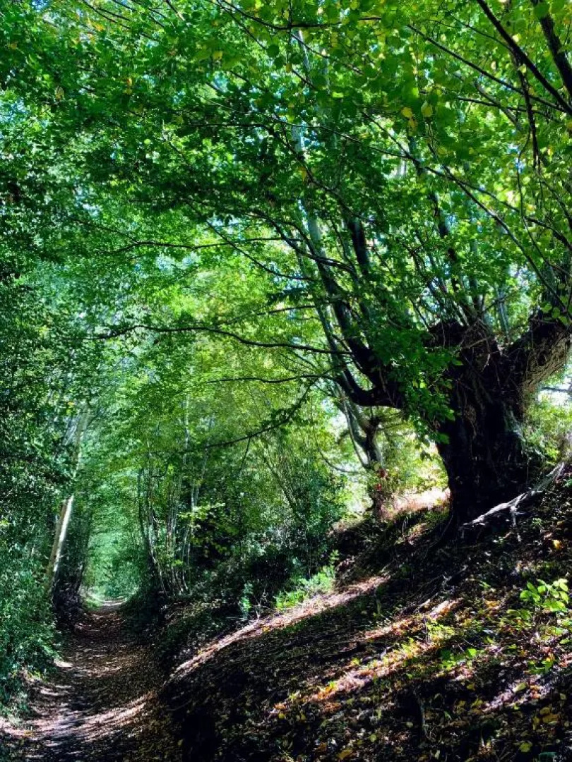 La Clef Des Champs 61