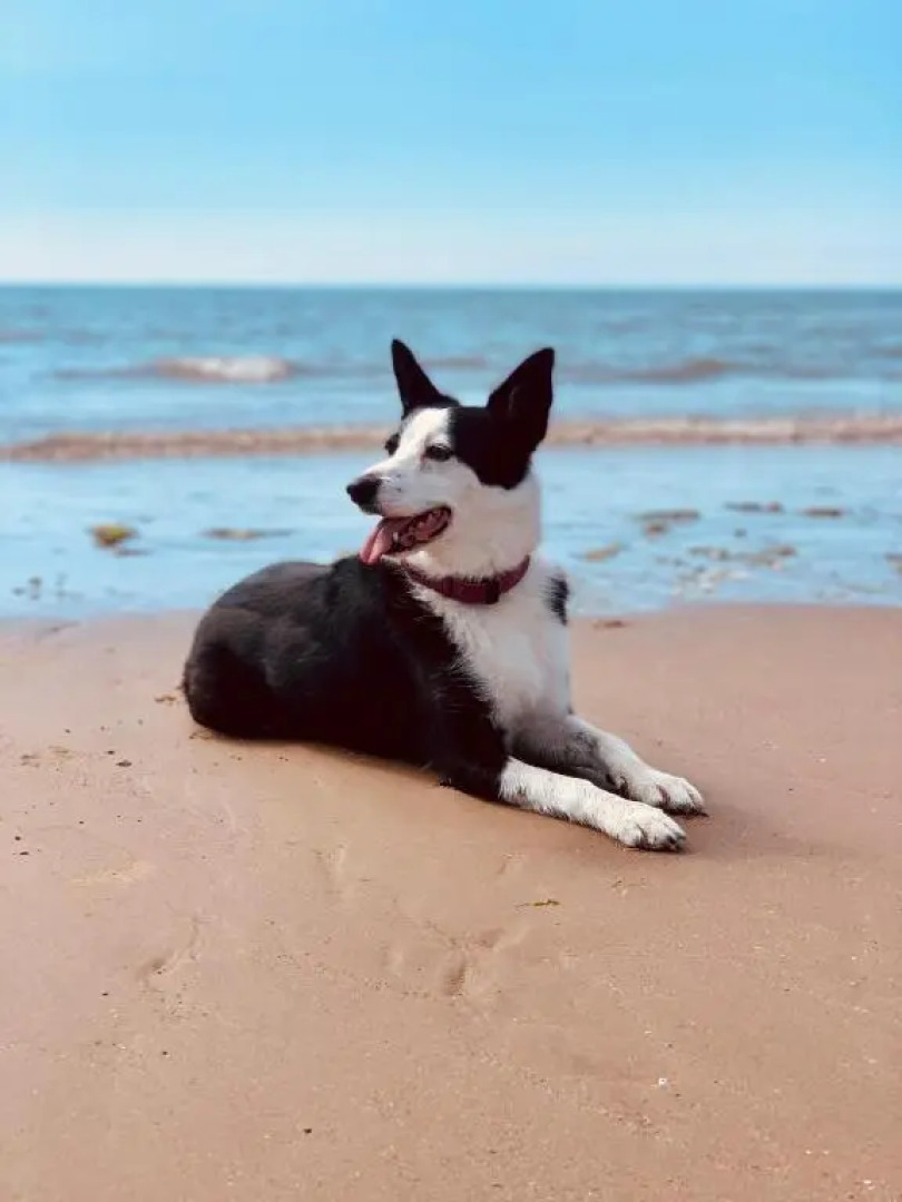 The Seascale Supper Club & Guest House