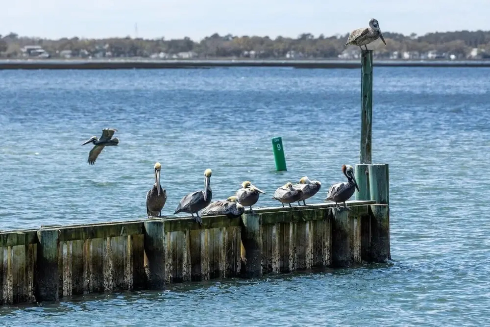 The Cape 3 Bedroom Condo by RedAwning