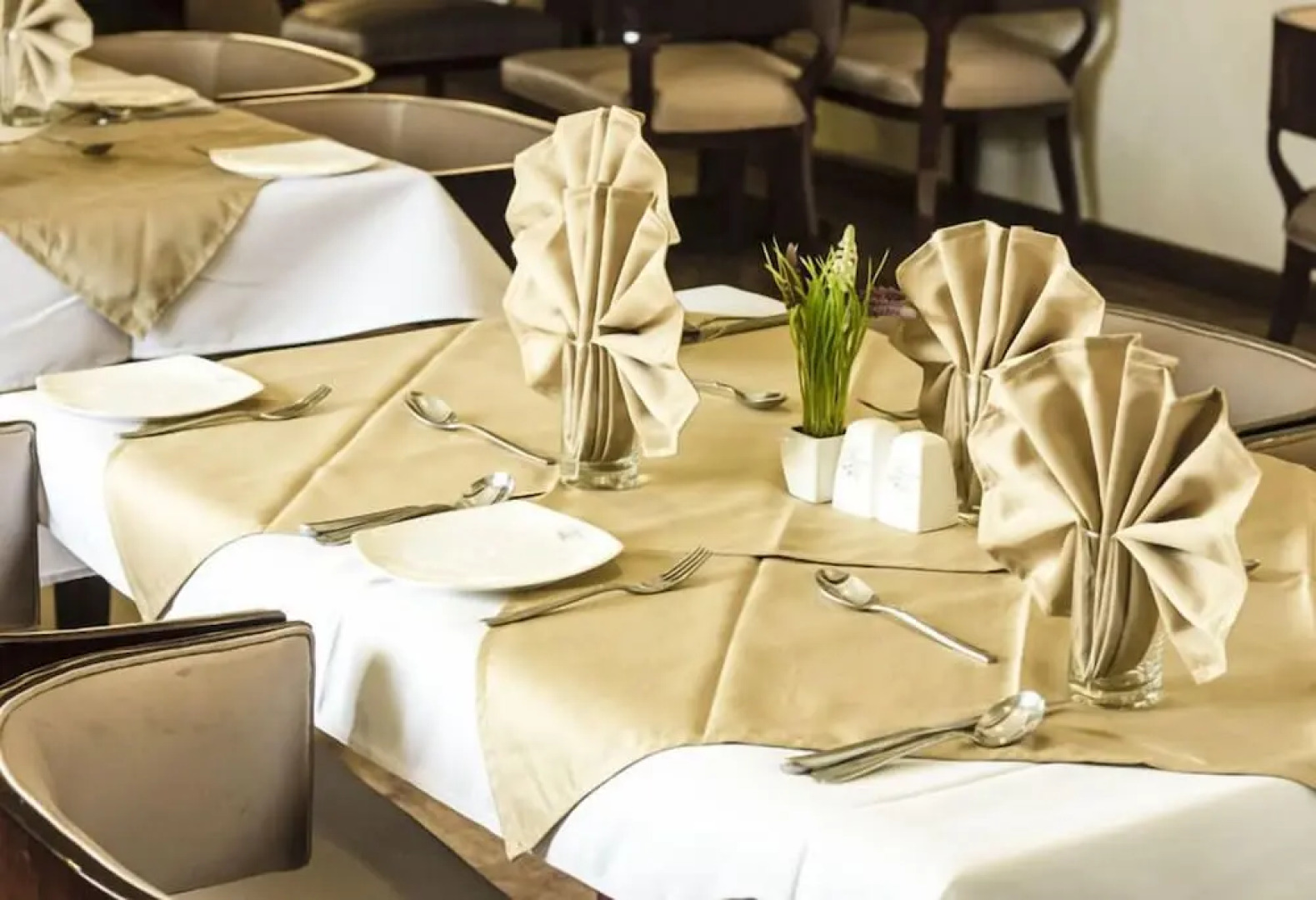 Hotel Ambience Executive