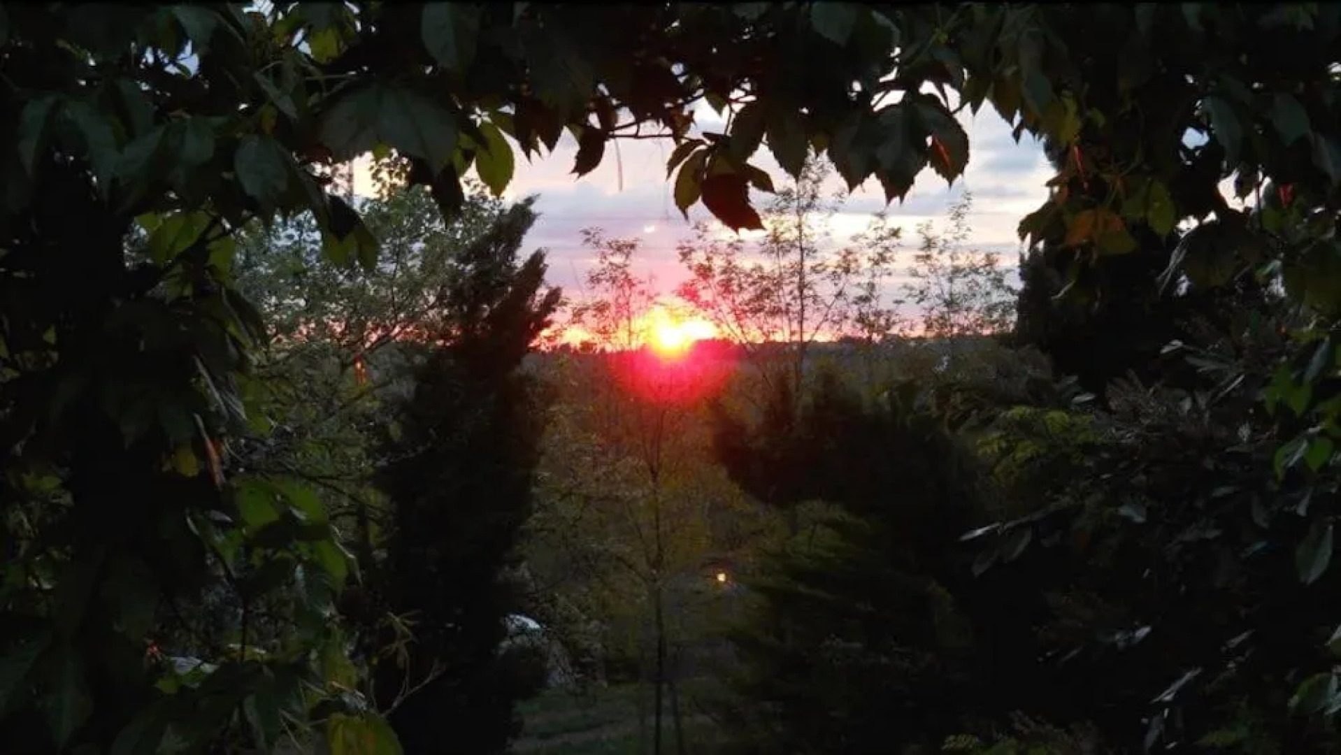 Podere Montagione B&B