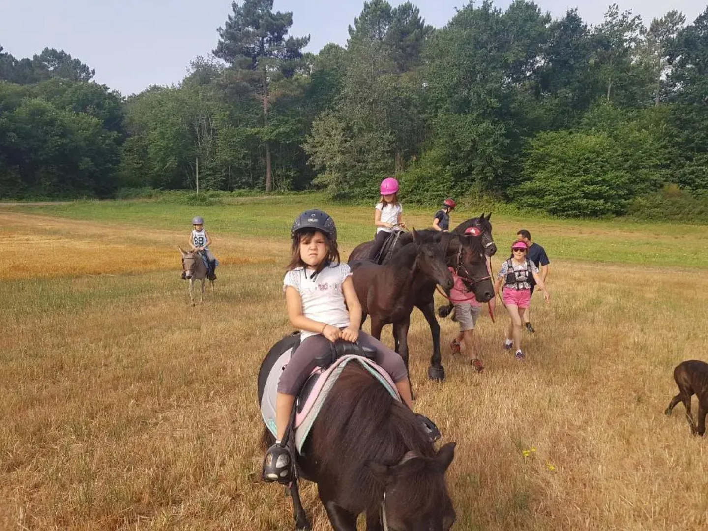 Gîte Équestre Domaine des Crins - Monpazier