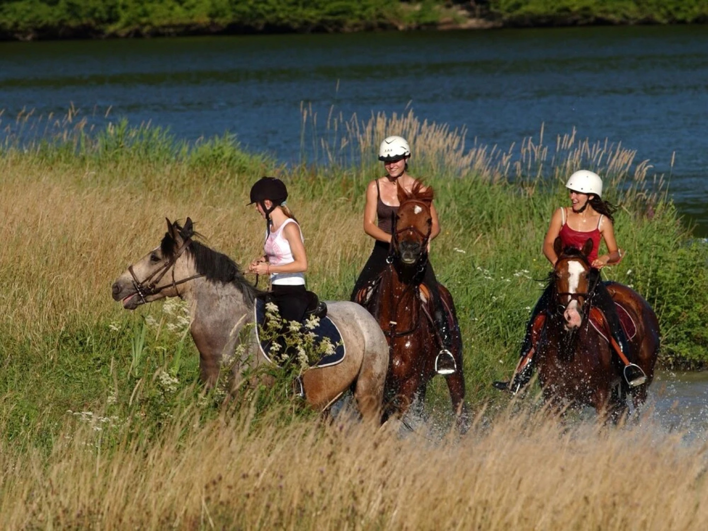 Nice Apartment With two Bathrooms in the Beautiful Valjoly