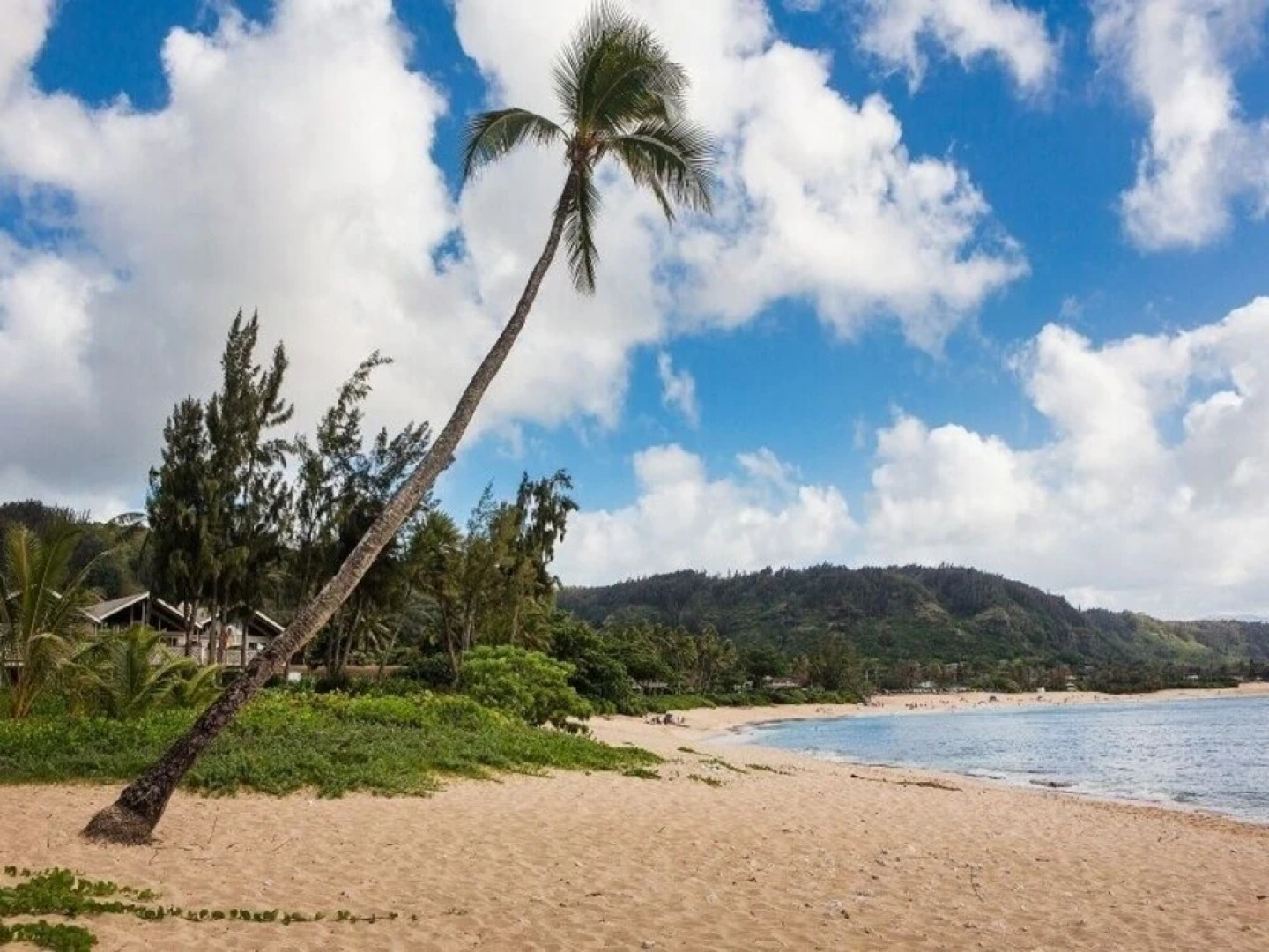 Haleiwa Sunshine 3 Bedroom Home