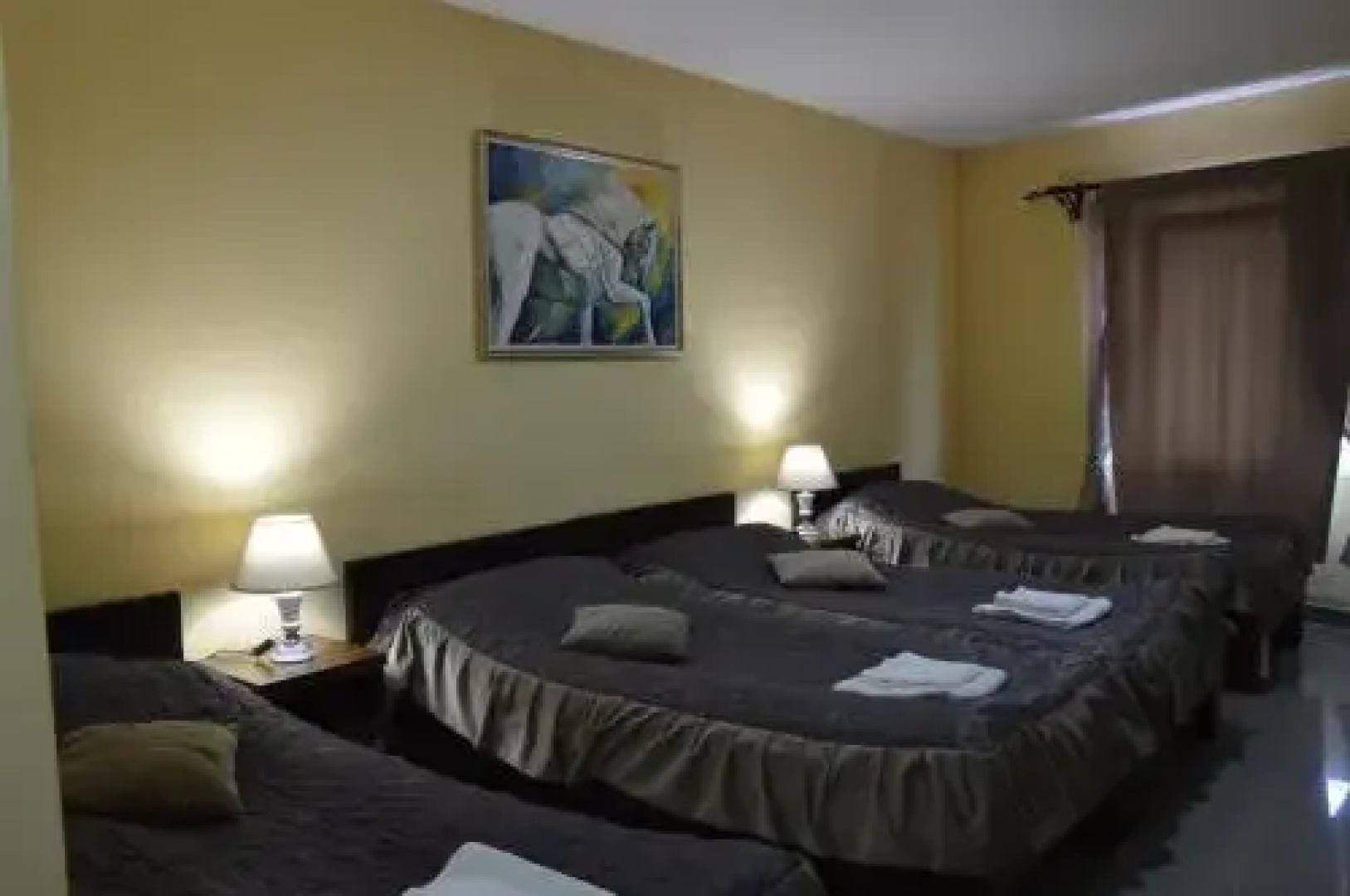 Hostel Franica