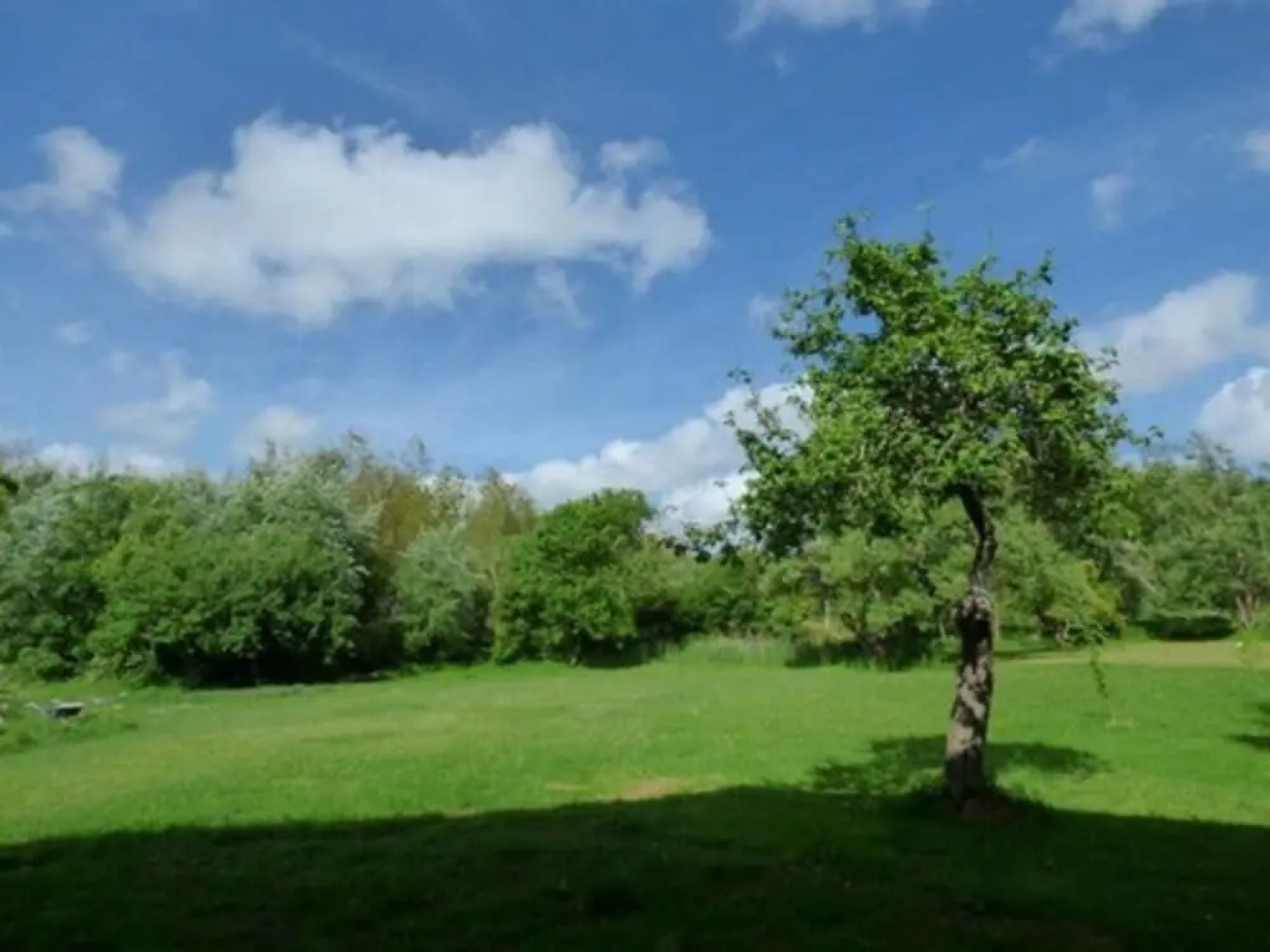 Soufflee Dans Le Vent