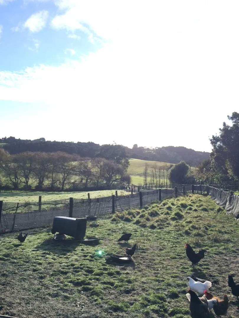 Country Getaway in Brookby