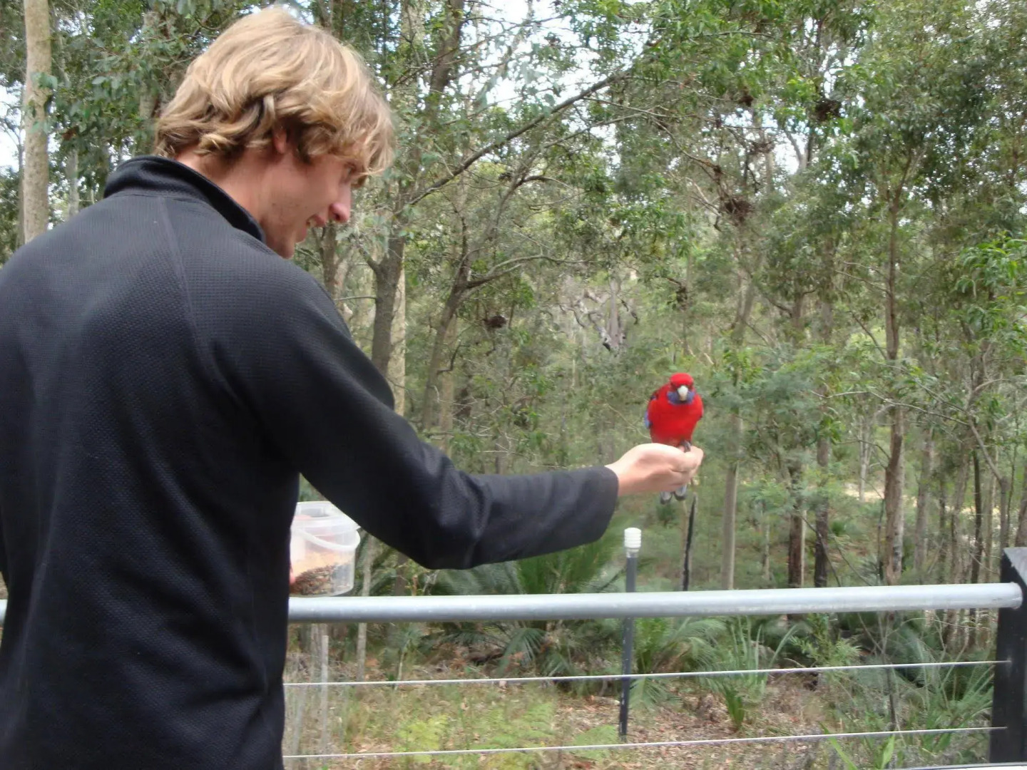 The Bower at Broulee