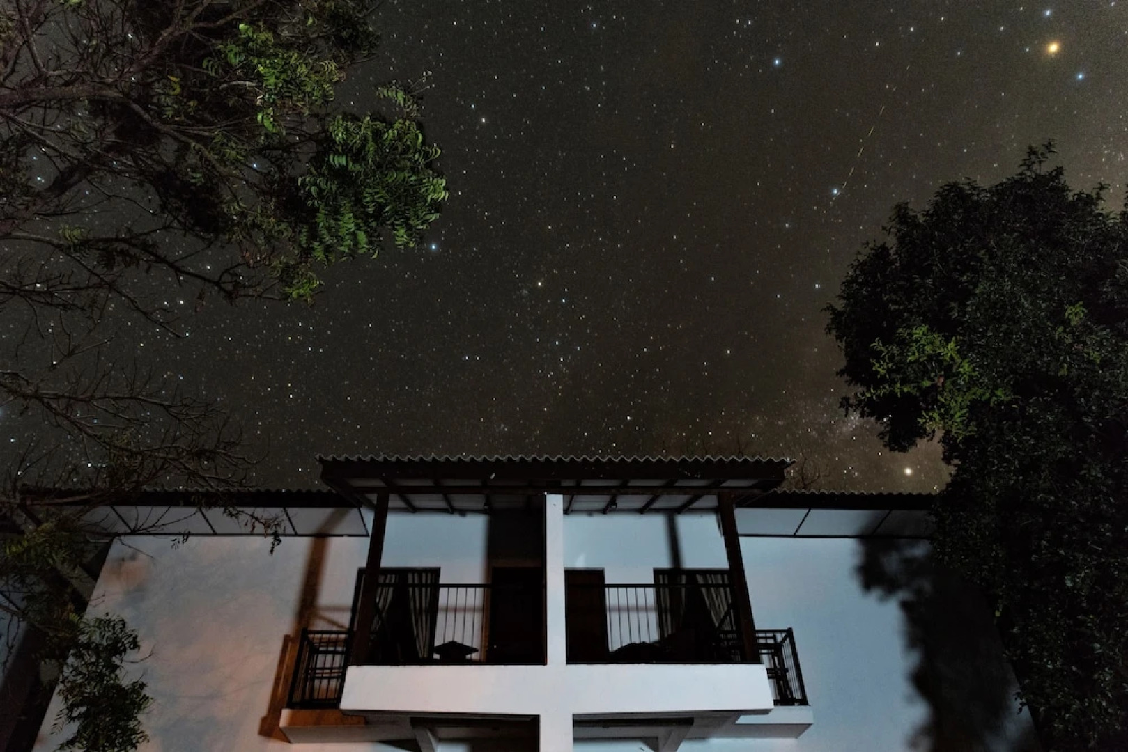 Arana by Forest Trails