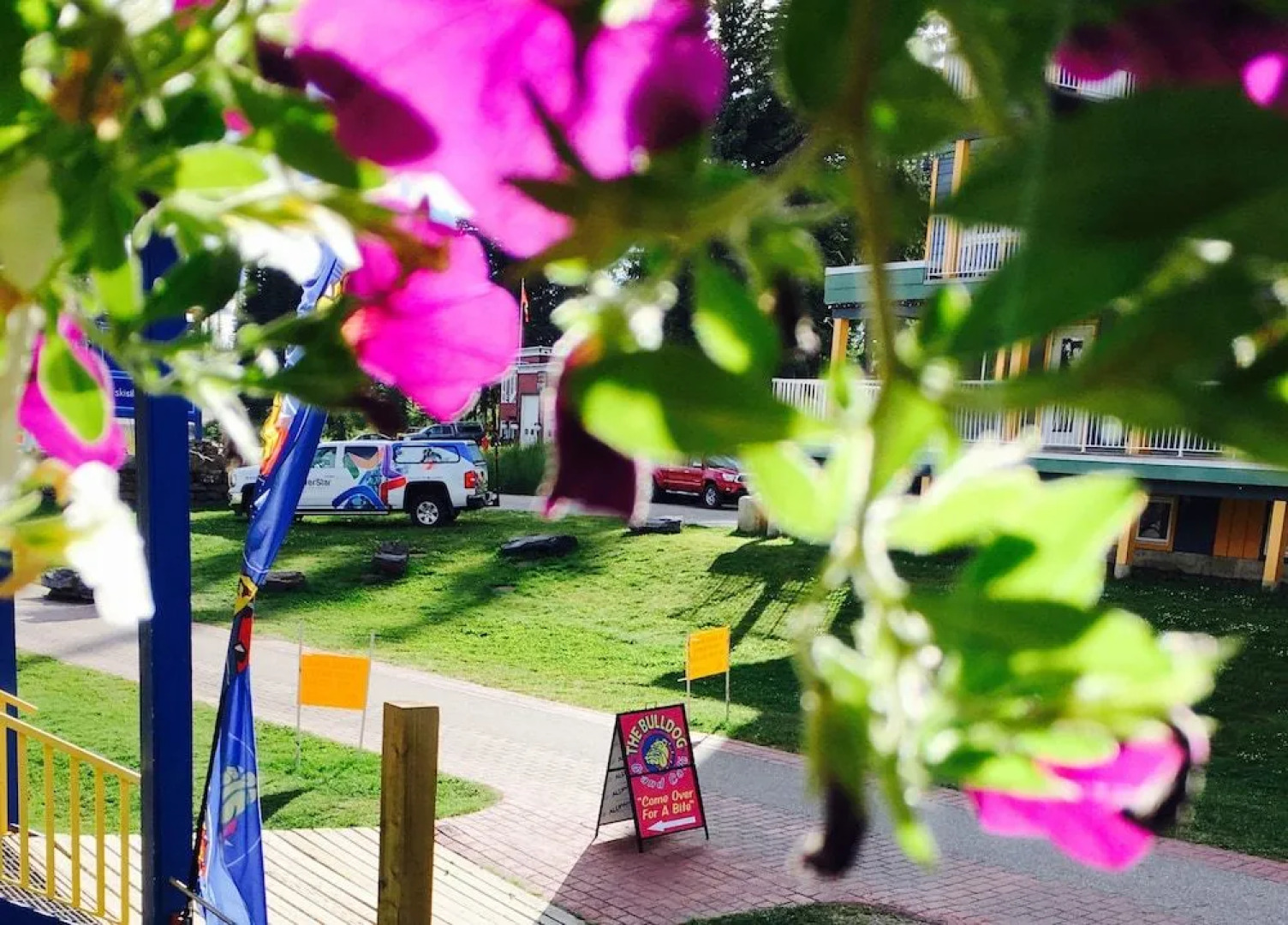 The Bulldog Hotel Silver Star