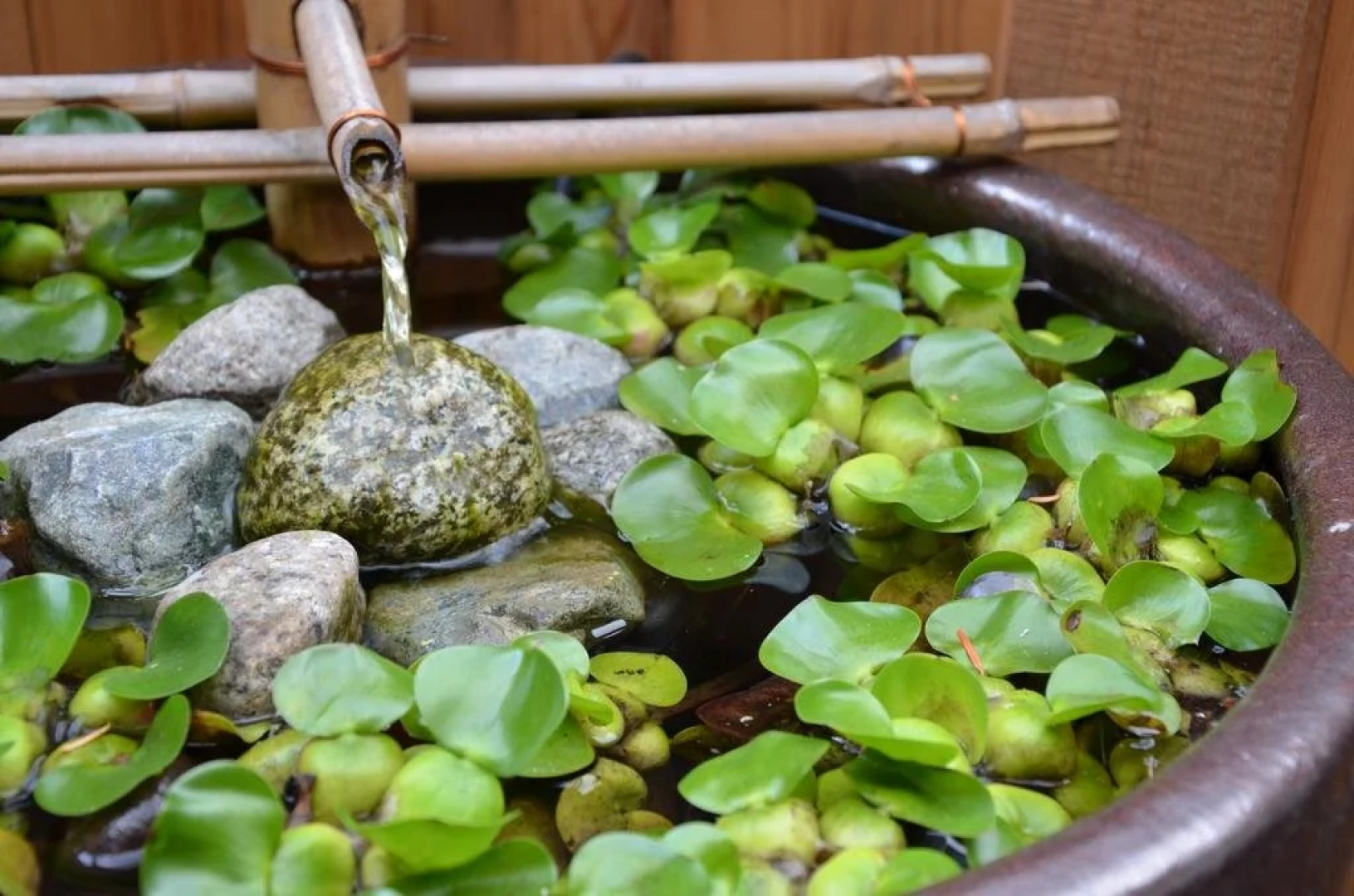 Shades of Jade Inn and Spa