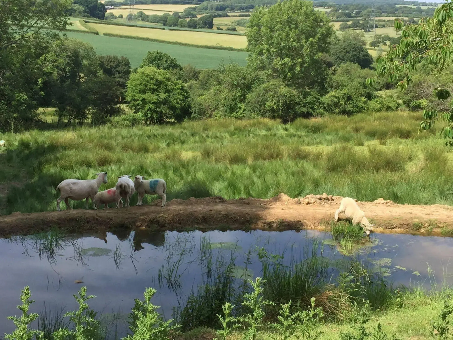 Boreham House Luxury BnB
