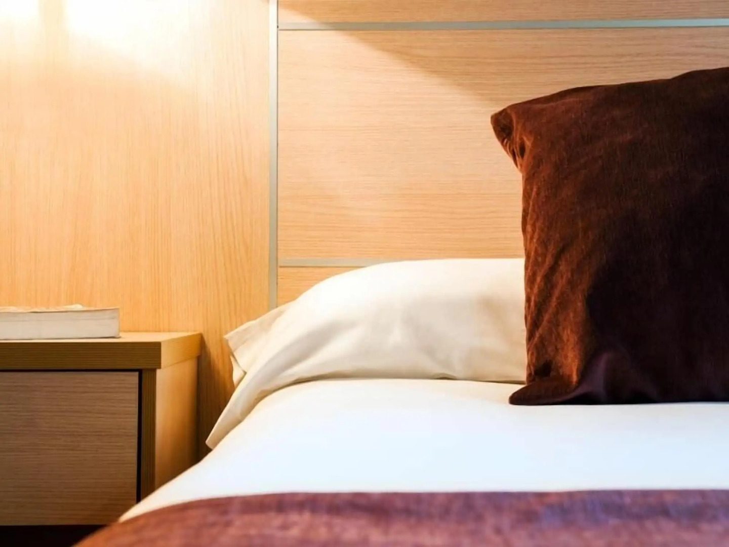 Hotel Balneario Areatza