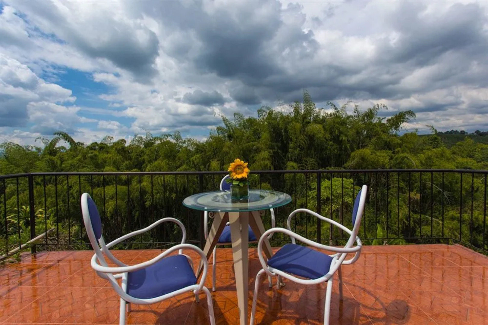 Finca Hotel Los girasoles