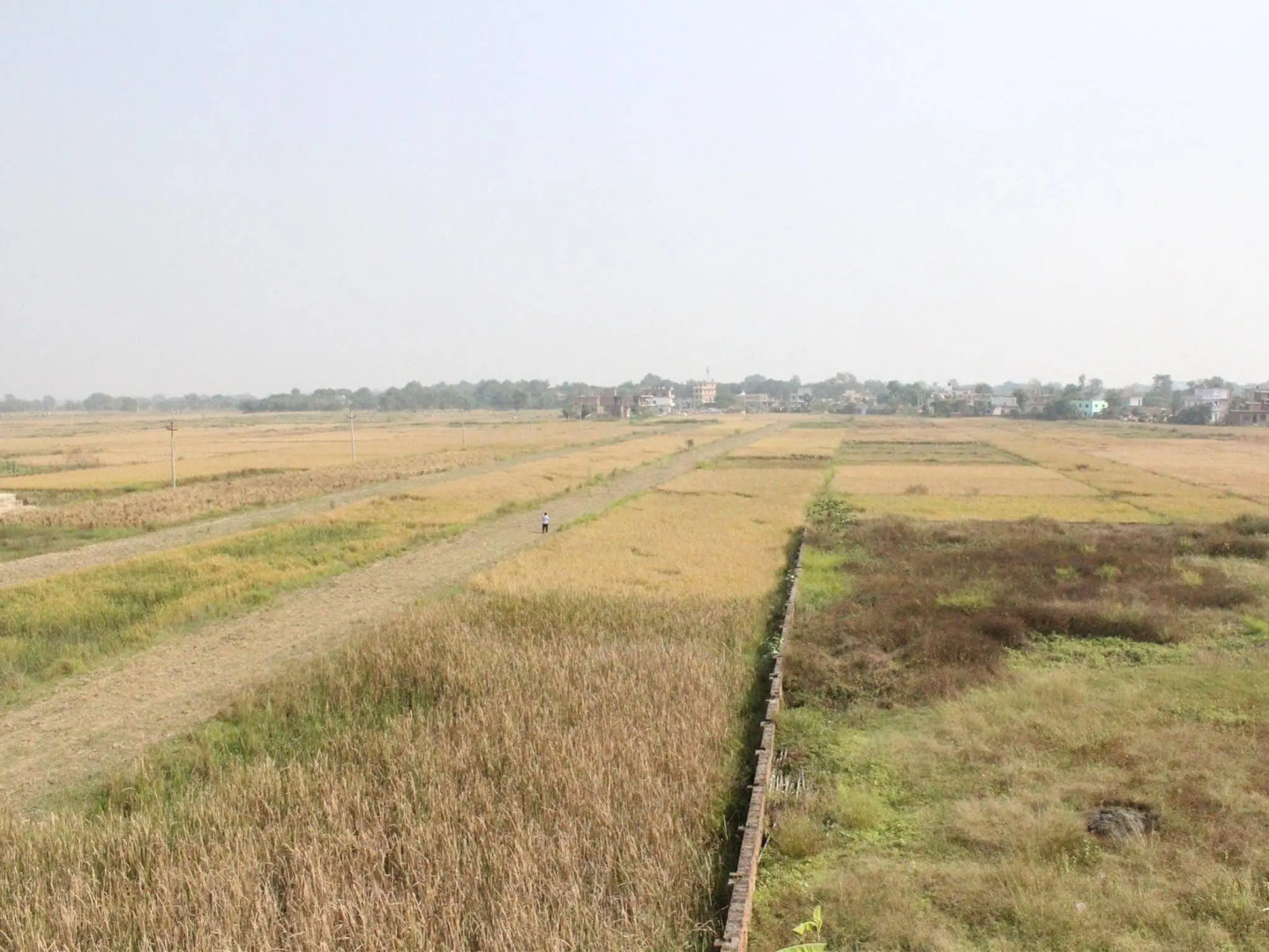 Hotel Peace Palace Nepal