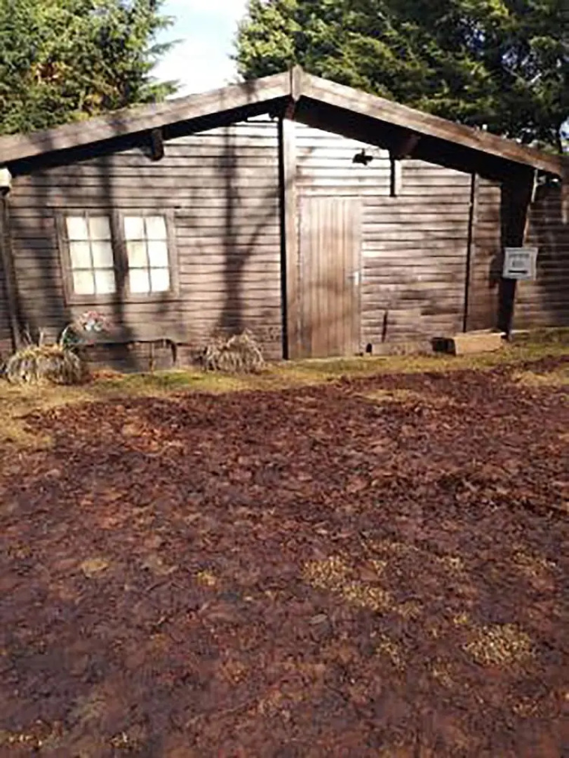 Lily Pad by Paymán Club