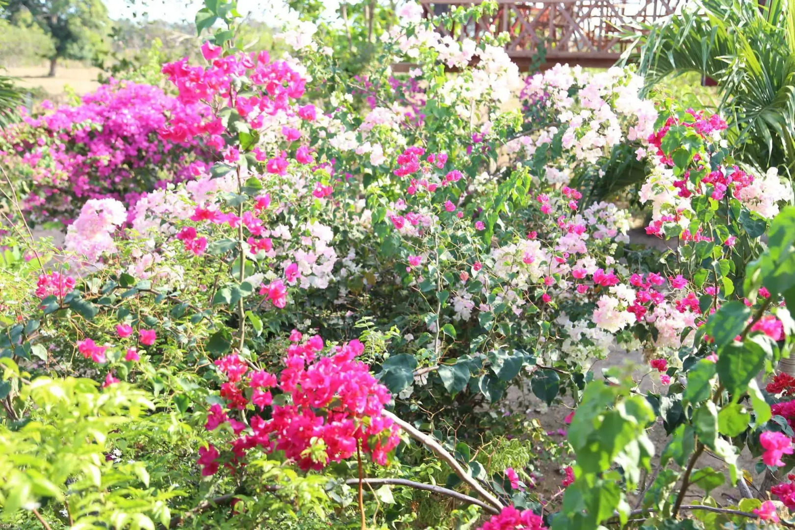 Khmer House Bungalow