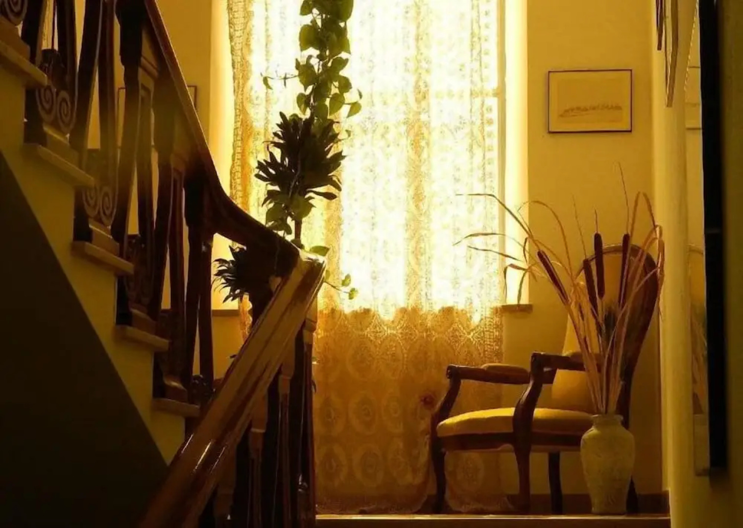 Artisti del Cavallo Tourism