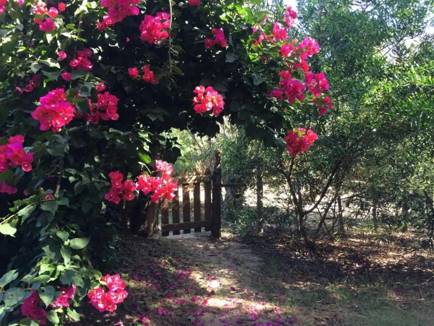 Cabañas Del Potrero