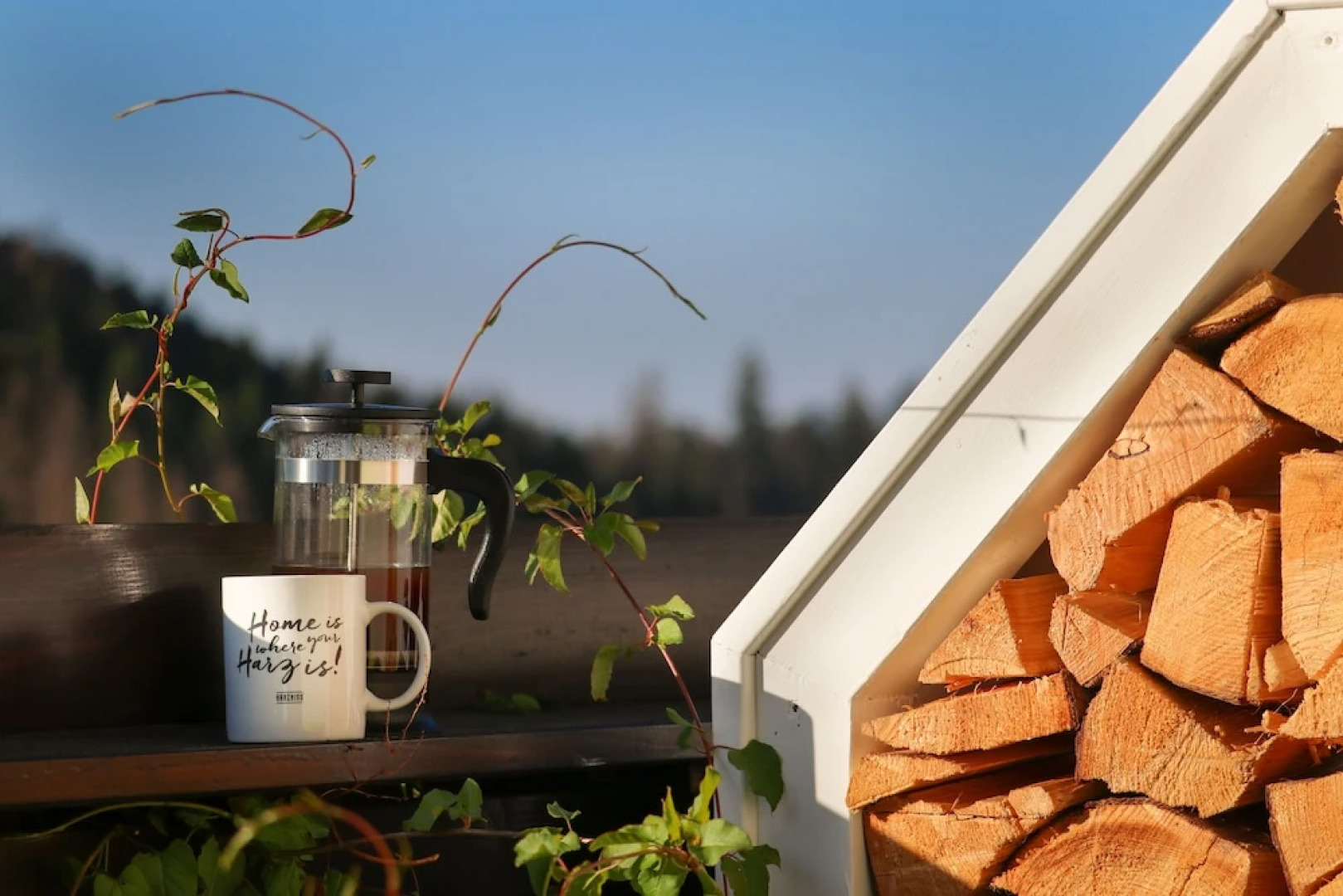 Harz BnB Werkmeister